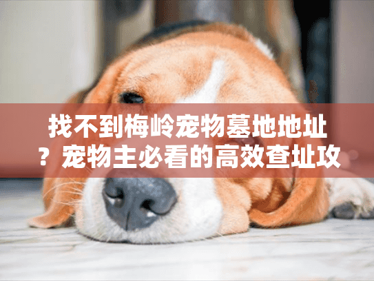 找不到梅岭宠物墓地地址？宠物主必看的高效查址攻略