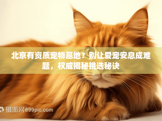 北京有资质宠物墓地？别让爱宠安息成难题，权威揭秘挑选秘诀