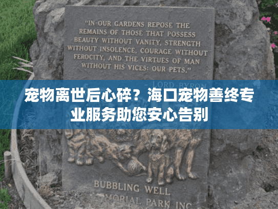 宠物离世后心碎？海口宠物善终专业服务助您安心告别