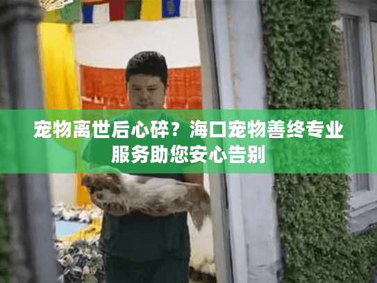 宠物离世后心碎？海口宠物善终专业服务助您安心告别