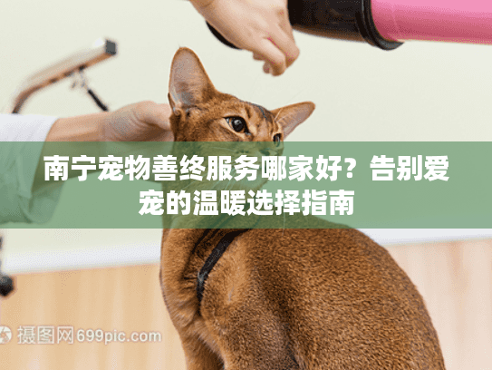 南宁宠物善终服务哪家好？告别爱宠的温暖选择指南