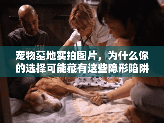 宠物墓地实拍图片，为什么你的选择可能藏有这些隐形陷阱？