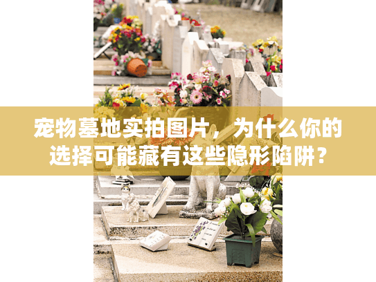 宠物墓地实拍图片，为什么你的选择可能藏有这些隐形陷阱？