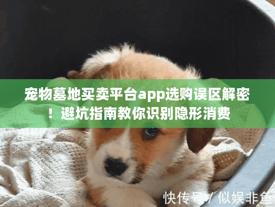 宠物墓地买卖平台app选购误区解密！避坑指南教你识别隐形消费