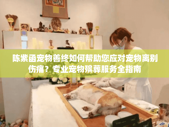 陈紫函宠物善终如何帮助您应对宠物离别伤痛？专业宠物殡葬服务全指南