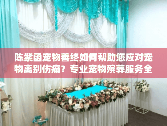 陈紫函宠物善终如何帮助您应对宠物离别伤痛？专业宠物殡葬服务全指南