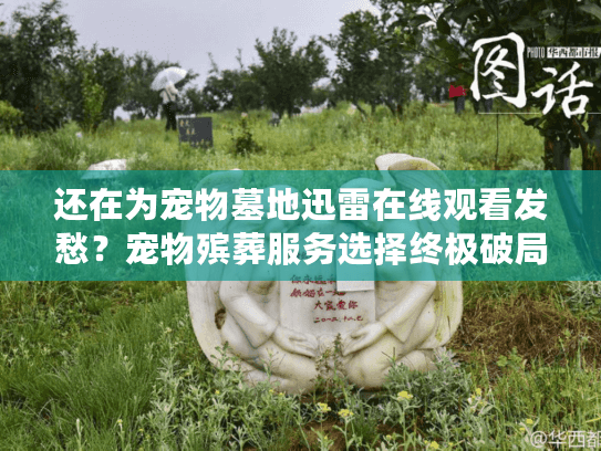 还在为宠物墓地迅雷在线观看发愁？宠物殡葬服务选择终极破局指南