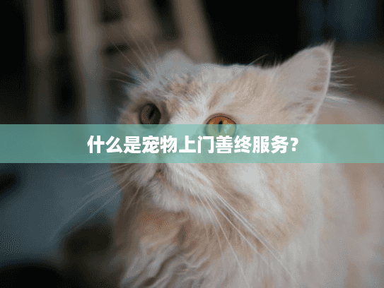 什么是宠物上门善终服务？