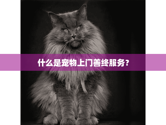 什么是宠物上门善终服务？