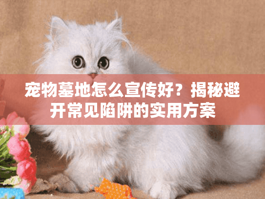 宠物墓地怎么宣传好？揭秘避开常见陷阱的实用方案