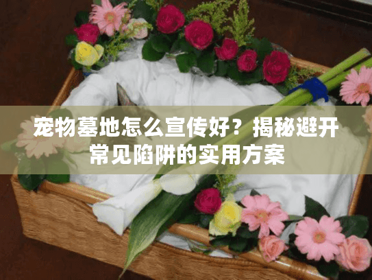 宠物墓地怎么宣传好？揭秘避开常见陷阱的实用方案