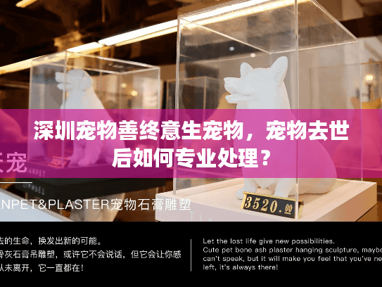 深圳宠物善终意生宠物，宠物去世后如何专业处理？
