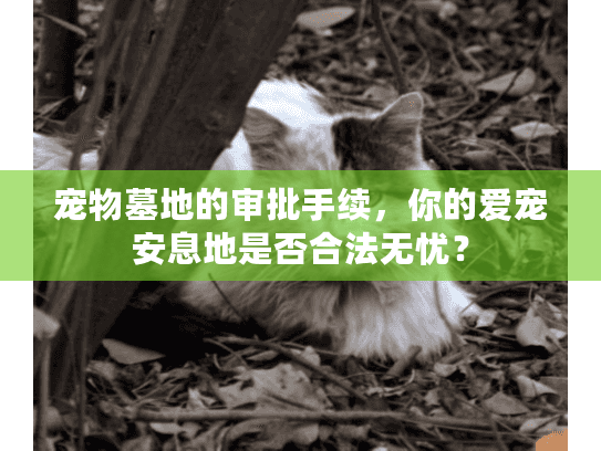 宠物墓地的审批手续,你的爱宠安息地是否合法无忧? 宠物墓地的审批手续,你的爱宠安息地是否合法无忧?