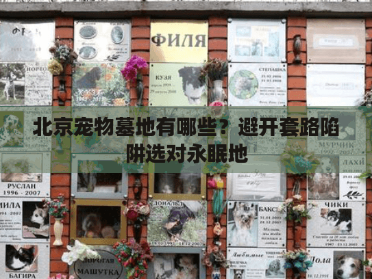 北京宠物墓地有哪些？避开套路陷阱选对永眠地