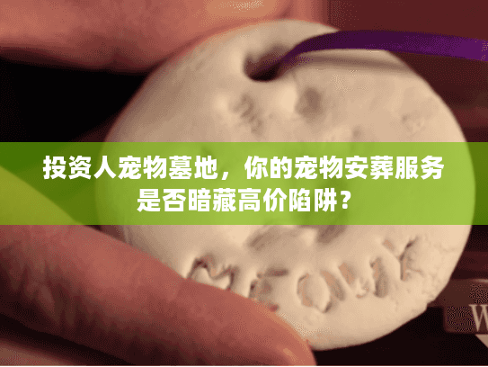 投资人宠物墓地，你的宠物安葬服务是否暗藏高价陷阱？