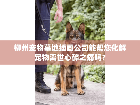 柳州宠物墓地插画公司能帮您化解宠物离世心碎之痛吗？