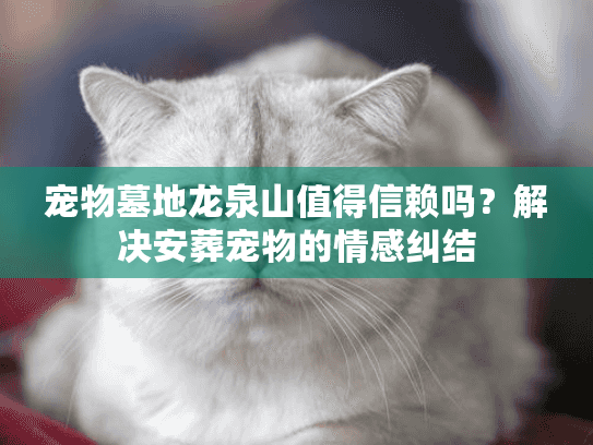 宠物墓地龙泉山值得信赖吗？解决安葬宠物的情感纠结