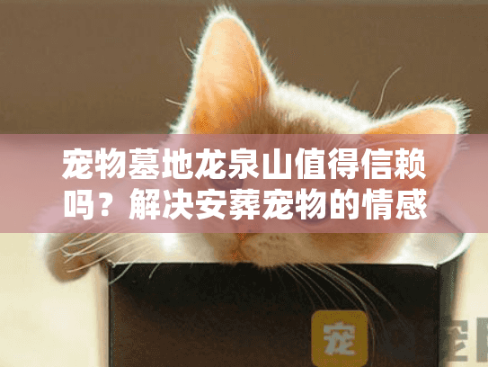 宠物墓地龙泉山值得信赖吗？解决安葬宠物的情感纠结