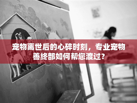 宠物离世后的心碎时刻，专业宠物善终部如何帮您渡过？