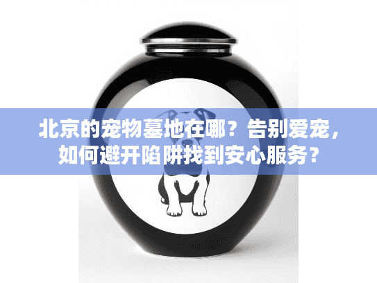 北京的宠物墓地在哪？告别爱宠，如何避开陷阱找到安心服务？