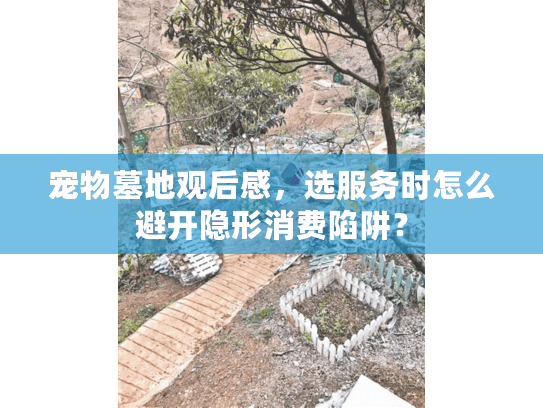 宠物墓地观后感，选服务时怎么避开隐形消费陷阱？
