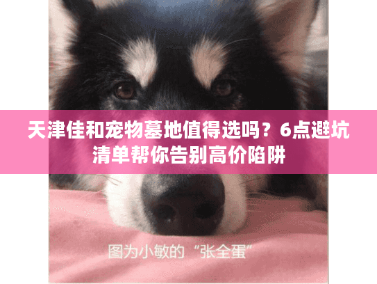 天津佳和宠物墓地值得选吗？6点避坑清单帮你告别高价陷阱