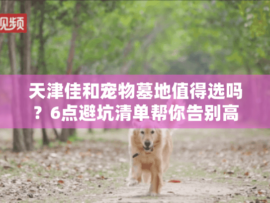 天津佳和宠物墓地值得选吗？6点避坑清单帮你告别高价陷阱