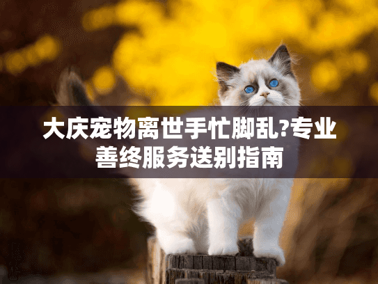 大庆宠物离世手忙脚乱?专业善终服务送别指南