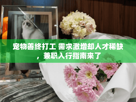 宠物善终打工 需求激增却人才稀缺，兼职入行指南来了