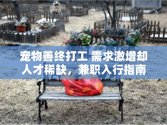 宠物善终打工 需求激增却人才稀缺，兼职入行指南来了