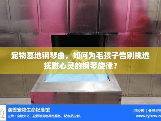 宠物墓地钢琴曲，如何为毛孩子告别挑选抚慰心灵的钢琴旋律？