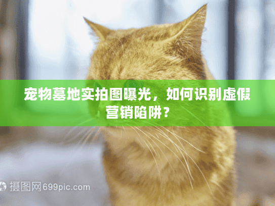 宠物墓地实拍图曝光,如何识别虚假营销陷阱? 宠物墓地实拍图曝光,如何识别虚假营销陷阱?