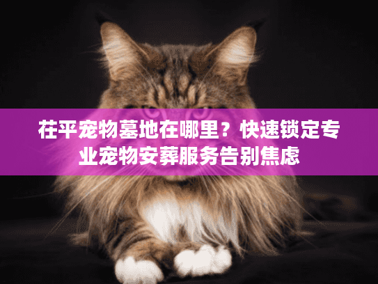 茌平宠物墓地在哪里？快速锁定专业宠物安葬服务告别焦虑