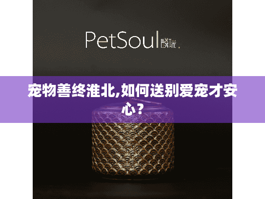 宠物善终淮北,如何送别爱宠才安心？