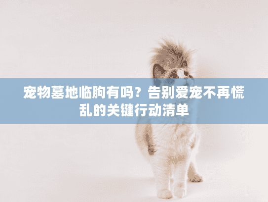 宠物墓地临朐有吗？告别爱宠不再慌乱的关键行动清单