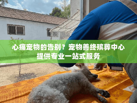 心痛宠物的告别？宠物善终殡葬中心提供专业一站式服务