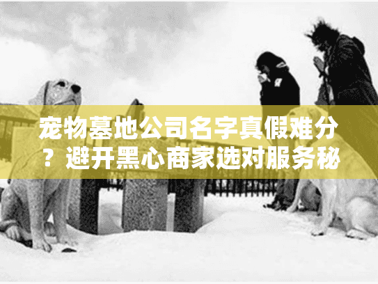 宠物墓地公司名字真假难分？避开黑心商家选对服务秘诀！