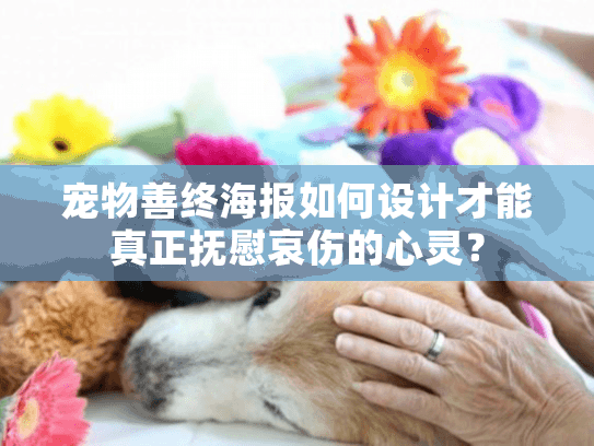 宠物善终海报如何设计才能真正抚慰哀伤的心灵？
