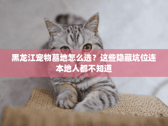 黑龙江宠物墓地怎么选？这些隐藏坑位连本地人都不知道