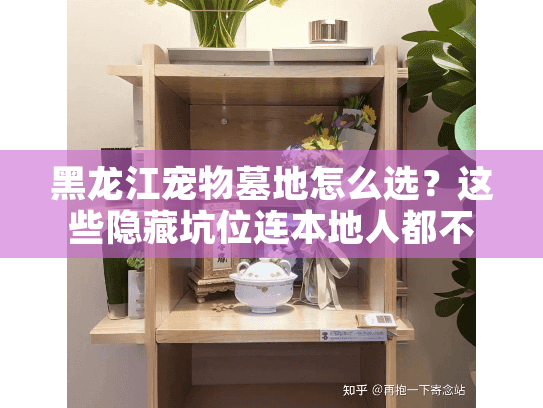 黑龙江宠物墓地怎么选？这些隐藏坑位连本地人都不知道