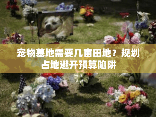 宠物墓地需要几亩田地？规划占地避开预算陷阱
