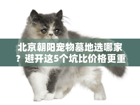 北京朝阳宠物墓地选哪家？避开这5个坑比价格更重要