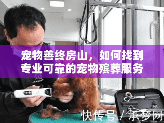 宠物善终房山，如何找到专业可靠的宠物殡葬服务？