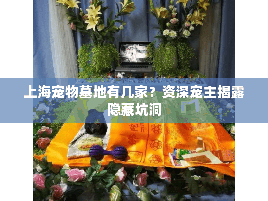 上海宠物墓地有几家？资深宠主揭露隐藏坑洞