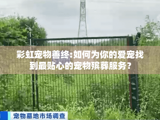 彩虹宠物善终:如何为你的爱宠找到最贴心的宠物殡葬服务？