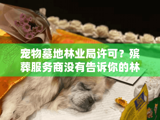 宠物墓地林业局许可？殡葬服务商没有告诉你的林地合规风险