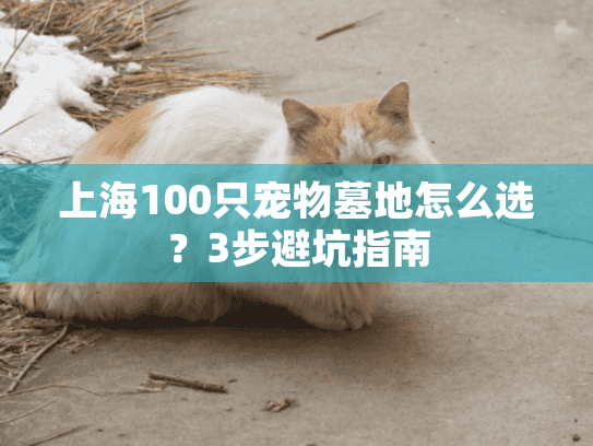 上海100只宠物墓地怎么选？3步避坑指南