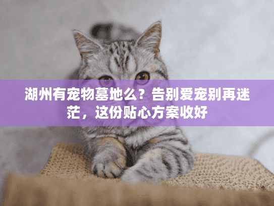 湖州有宠物墓地么？告别爱宠别再迷茫，这份贴心方案收好