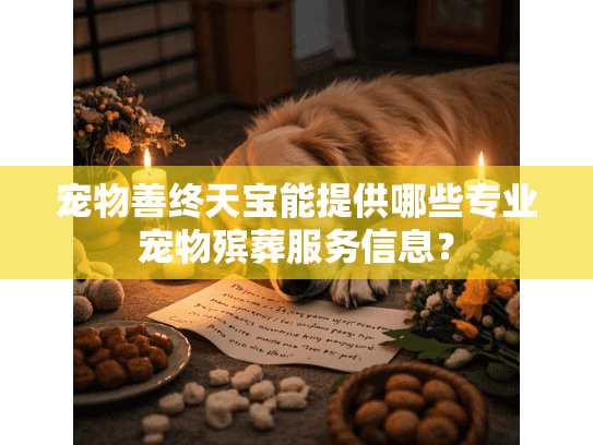 宠物善终天宝能提供哪些专业宠物殡葬服务信息？