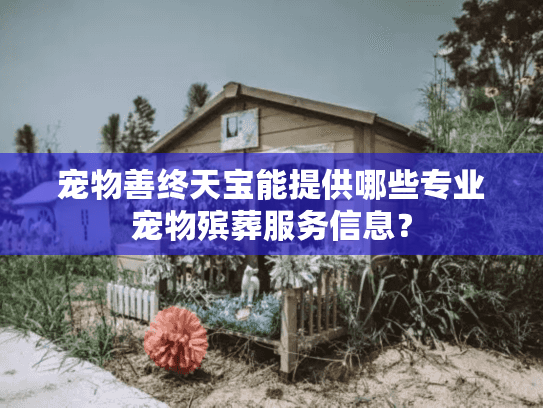 宠物善终天宝能提供哪些专业宠物殡葬服务信息？